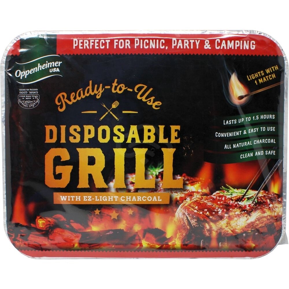 Disposable grill best sale